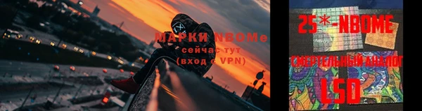 тгк Бородино