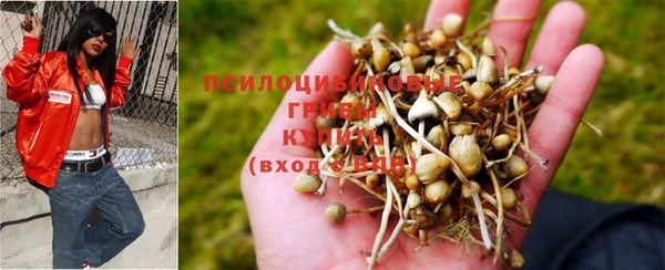 героин Шали