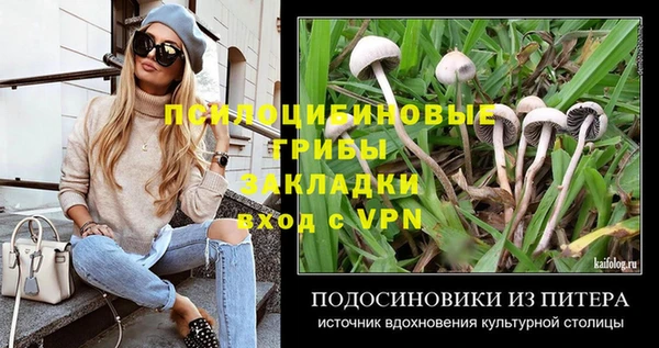 трава Покачи