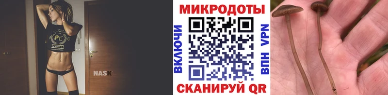 Галлюциногенные грибы ЛСД  Мглин 